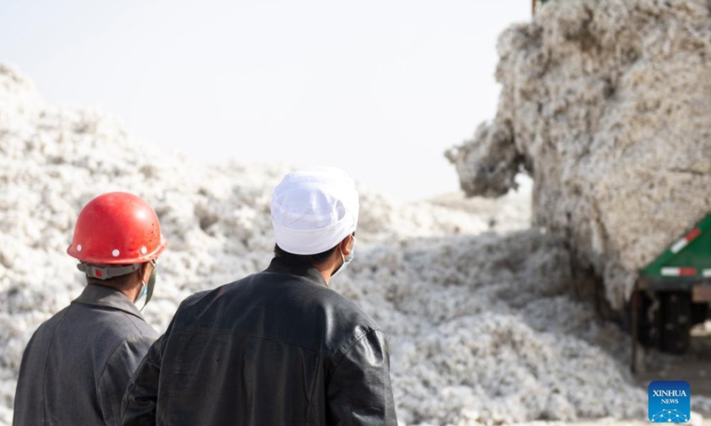 Amar Aziz (R) and his father sell their own cotton in Gezkum Town of Xayar County, Aksu Prefecture, northwest China's Xinjiang Uygur Autonomous Region, Oct. 26, 2021. Amar Aziz lives in Xayar County, Aksu Prefecture, which is an important cotton-producing area in Xinjiang. His family has been planting cotton for more than 20 years.(Photo: Xinhua)