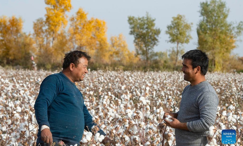 Amar Aziz (R) talks with friend in his own cotton field in Gezkum Town of Xayar County, Aksu Prefecture, northwest China's Xinjiang Uygur Autonomous Region, Oct. 25, 2021. Amar Aziz lives in Xayar County, Aksu Prefecture, which is an important cotton-producing area in Xinjiang. His family has been planting cotton for more than 20 years. In the early years, cotton planting and picking mainly depended on manpower.(Photo: Xinhua)
