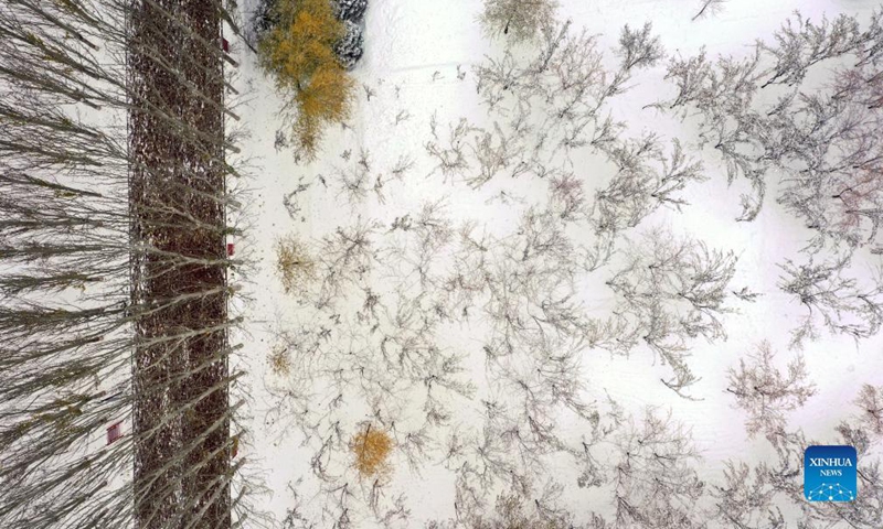Aerial photo taken on Nov. 6, 2021 shows a snow scene at Fenghuang Park in Yinchuan, northwest China's Ningxia Hui Autonomous Region.Photo:Xinhua