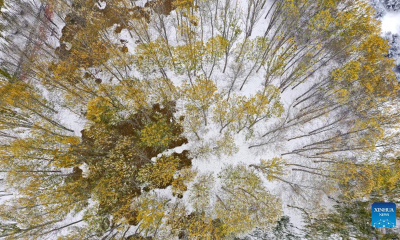 Aerial photo taken on Nov. 6, 2021 shows a snow scene at Fenghuang Park in Yinchuan, northwest China's Ningxia Hui Autonomous Region. Yinchuan witnessed the first snowfall this winter Saturday.Photo:Xinhua