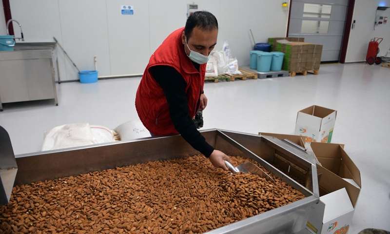 An employee of Unal Dried Nuts is packing nuts in Ankara, Turkey, on Nov. 8, 2021.(Photo: Xinhua)