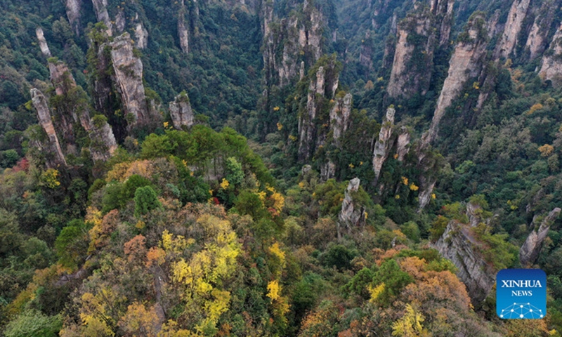 Aerial photo taken on Nov. 12, 2021 shows the scenery of the Wulingyuan Scenic Area in Zhangjiajie City, central China's Hunan Province.Photo:Xinhua