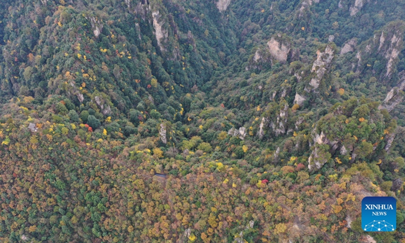 Aerial photo taken on Nov. 12, 2021 shows the scenery of the Wulingyuan Scenic Area in Zhangjiajie City, central China's Hunan Province.Photo:Xinhua