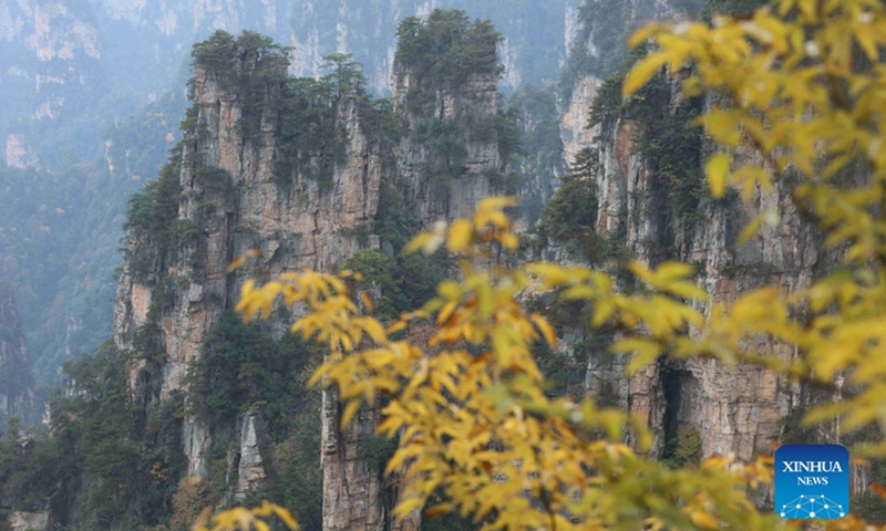 Aerial photo taken on Nov. 12, 2021 shows the scenery of the Wulingyuan Scenic Area in Zhangjiajie City, central China's Hunan Province.Photo:Xinhua