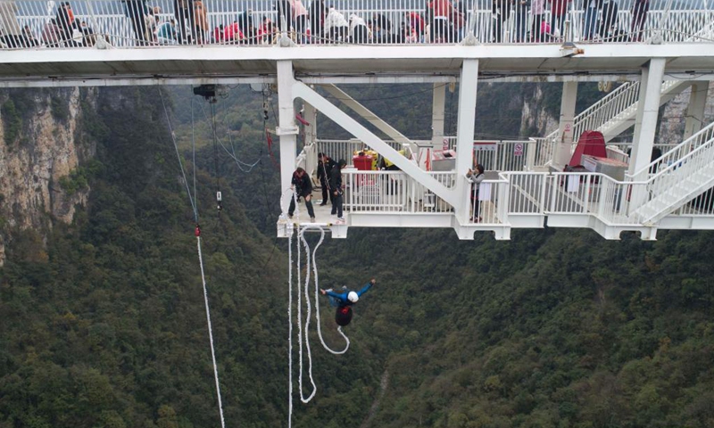 Aerial photo taken on Nov. 12, 2021 shows a tourist going bungee jumping from Zhangjiajie Grand Canyon's glass-bottomed bridge, central China's Hunan Province. The 430-meter long, six-meter wide bridge, linking two steep cliffs 300 meters above the ground, is paved with 99 panes of three-layer transparent glass.Photo:Xinhua