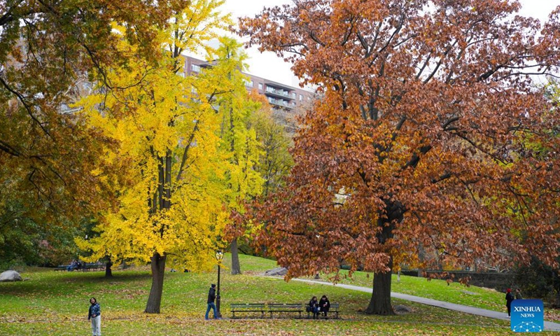 People enjoy autumn scenery in Central Park in New York, the United States, Nov. 14, 2021.(Photo: Xinhua)