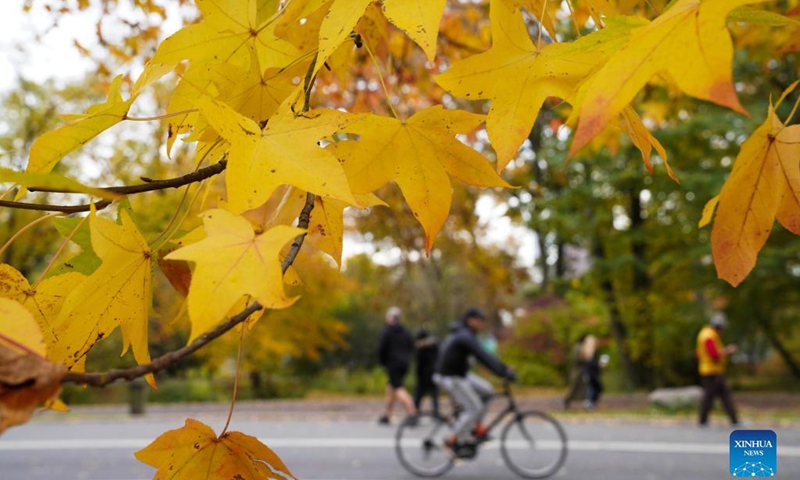 People enjoy autumn scenery in Central Park in New York, the United States, Nov. 14, 2021.(Photo: Xinhua)