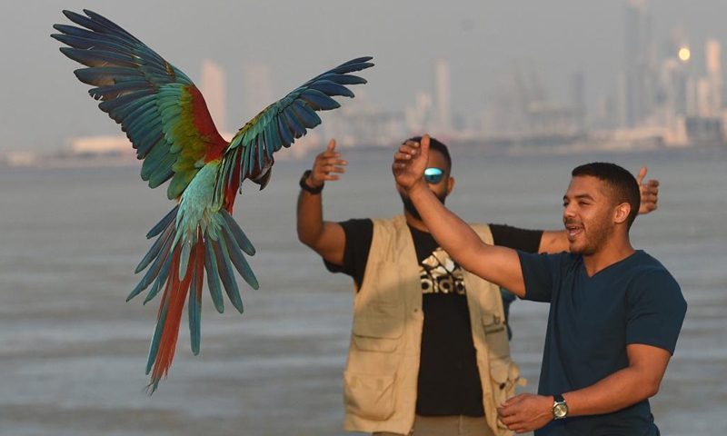 Bird lovers train a parrot during a training show in Capital Governorate, Kuwait, Nov. 15, 2021. (Photo by Asad/Xinhua) 