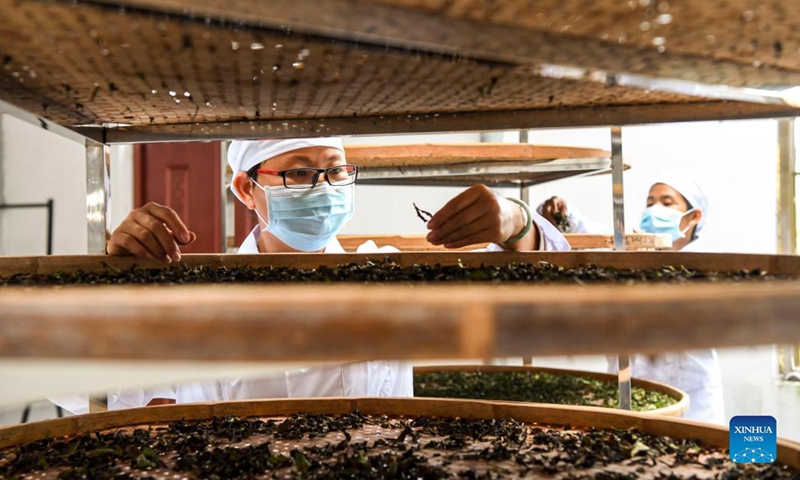 Tea farmers sort tea leaves at a tea processing plant in Pengtang Village of Shanxin Town in Xingye County, south China's Guangxi Zhuang Autonomous Region, Nov. 19, 2021. During the past years, Xingye has made great efforts to promote characteristic industries based on local conditions such as introducing advanced farming and cultivating techniques and better types of agricultural products, so as to boost farmers' income. (Xinhua/Cao Yiming)