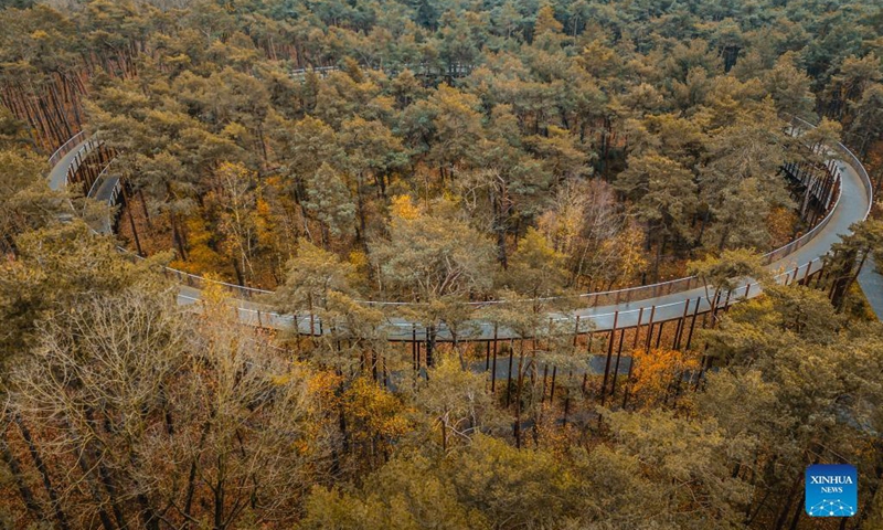 Aerial photo taken on Nov. 19, 2021 shows autumn scenery at the Bosland Nature Reserve in Limburg Province, Belgium. (Xinhua/Zhang Cheng)
