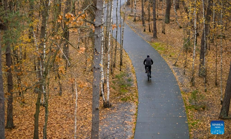 A man rides a bike at the Bosland Nature Reserve in Limburg Province, Belgium, Nov. 19, 2021. (Xinhua/Zhang Cheng)