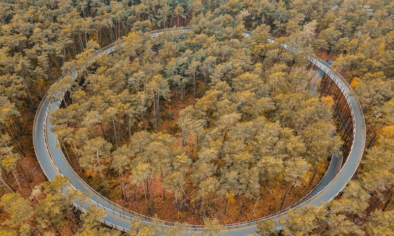 Aerial photo taken on Nov. 19, 2021 shows autumn scenery at the Bosland Nature Reserve in Limburg Province, Belgium. (Xinhua/Zhang Cheng)