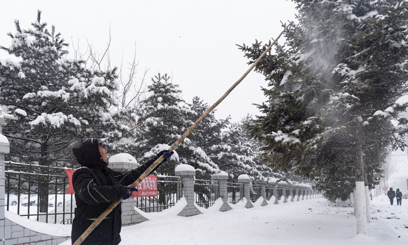 A worker removes snow from tree branches to avoid fracture in Hegang City, northeast China's Heilongjiang Province, Nov. 22, 2021. Heavy snowfall hit many parts of Heilongjiang recently.Photo:Xinhua