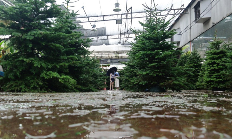 People shop for Christmas trees at one of the florists in Singapore on Nov 24, 2021.(Photo; Xinhua)