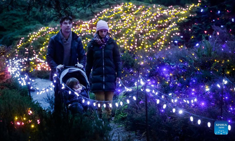 People look at the light decorations at VanDusen Botanical Garden in Vancouver, British Columbia, Canada, Nov 26, 2021. The Festival of Lights returned Friday night after being postponed last year due to COVID-19 pandemic. Over a million lights are seen in the 15 acres of VanDusen Botanical Garden.Photo:Xinhua
