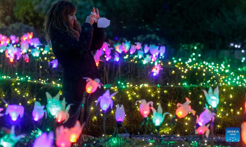 People look at the light decorations at VanDusen Botanical Garden in Vancouver, British Columbia, Canada, Nov 26, 2021. The Festival of Lights returned Friday night after being postponed last year due to COVID-19 pandemic. Over a million lights are seen in the 15 acres of VanDusen Botanical Garden.Photo:Xinhua