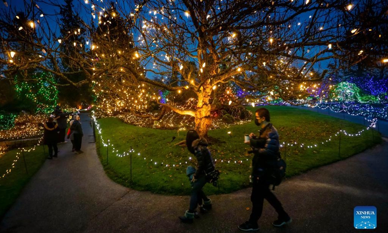 People look at the light decorations at VanDusen Botanical Garden in Vancouver, British Columbia, Canada, Nov 26, 2021. The Festival of Lights returned Friday night after being postponed last year due to COVID-19 pandemic. Over a million lights are seen in the 15 acres of VanDusen Botanical Garden.Photo:Xinhua