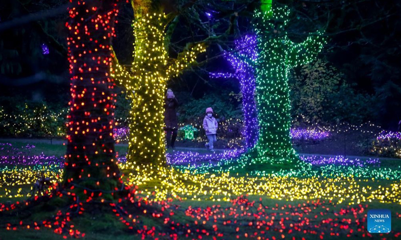 People look at the light decorations at VanDusen Botanical Garden in Vancouver, British Columbia, Canada, Nov 26, 2021. The Festival of Lights returned Friday night after being postponed last year due to COVID-19 pandemic. Over a million lights are seen in the 15 acres of VanDusen Botanical Garden.Photo:Xinhua
