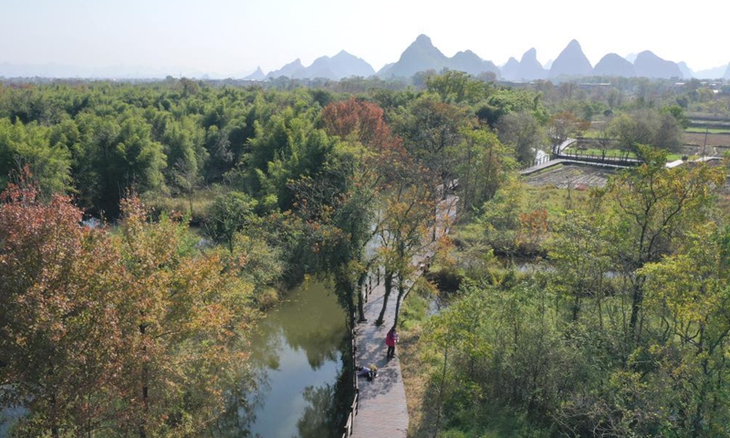Aerial photo taken on Nov. 27, 2021 shows the winter scenery of the Huixian Wetlands in Guilin, south China's Guangxi Zhuang Autonomous Region.Photo:Xinhua