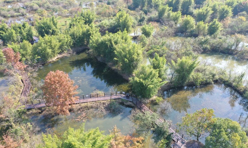 Aerial photo taken on Nov. 27, 2021 shows the winter scenery of the Huixian Wetlands in Guilin, south China's Guangxi Zhuang Autonomous Region.Photo:Xinhua