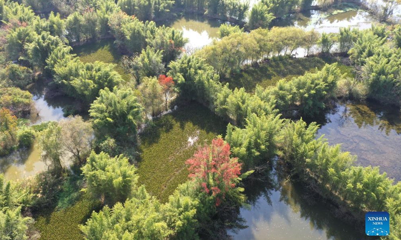 Aerial photo taken on Nov. 27, 2021 shows the winter scenery of the Huixian Wetlands in Guilin, south China's Guangxi Zhuang Autonomous Region.Photo:Xinhua