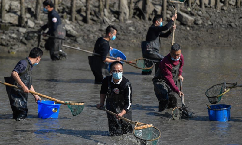 Tourists catch fish during a dredging festival at the Xixi National Wetland Park in Hangzhou, east China's Zhejiang Province, Dec. 4, 2021.Photo:Xinhua