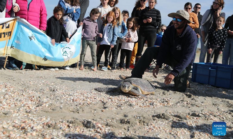 People watch and take photos as sea turtles are released into the sea on HaBonim Beach near the city of Haifa in northern Israel on December 10, 2021. The sea turtles that were injured in fishing incidents earlier this year were released into the sea on Friday by the Israeli sea turtle rescue center after their treatment and full recovery.Photo: Xinhua