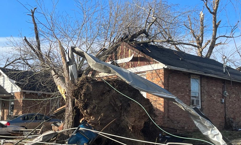 Photo taken on Dec. 11, 2021 shows a tree toppled in tornadoes in Mayfield, Kentucky, the United States.Photo:Xinhua