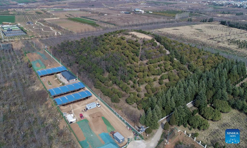 Aerial photo taken on March 14, 2019 shows the excavation site of the mausoleum of Empress Dowager Bo, mother of Emperor Wendi of the Western Han Dynasty (202 BC-AD 25), in Jiangcun Village on the eastern outskirts of Xi'an, northwest China's Shaanxi Province. A large-scale mausoleum in Xi'an has been identified as belonging to Emperor Wendi of the Western Han Dynasty, local authorities said Tuesday.(Photo: Xinhua)