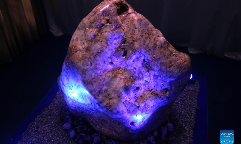 Photo taken on Dec. 15, 2021 shows the natural corundum crystal blue sapphire named Queen of Asia on display in Horana, Sri Lanka. Sri Lankan authorities on Monday said the country had unearthed the world's largest natural corundum crystal blue sapphire in Ratnapura, about 113 km away from the capital Colombo, local media reported.(Photo: Xinhua)