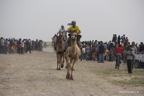 Rafah Camel Festival marked in Gaza - Global Times