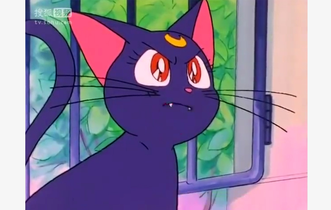 Details 140+ cat cartoon anime best