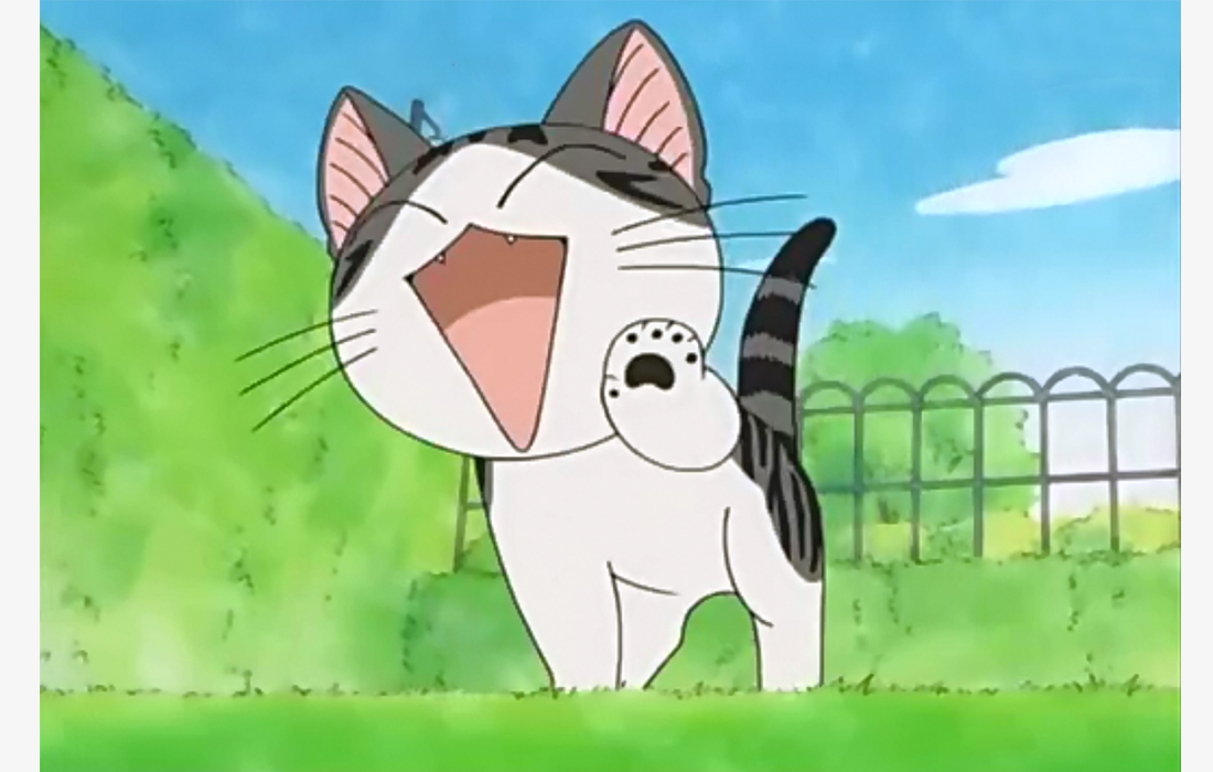 Cats Characters  AnimePlanet