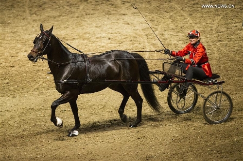royal horse show held in canada