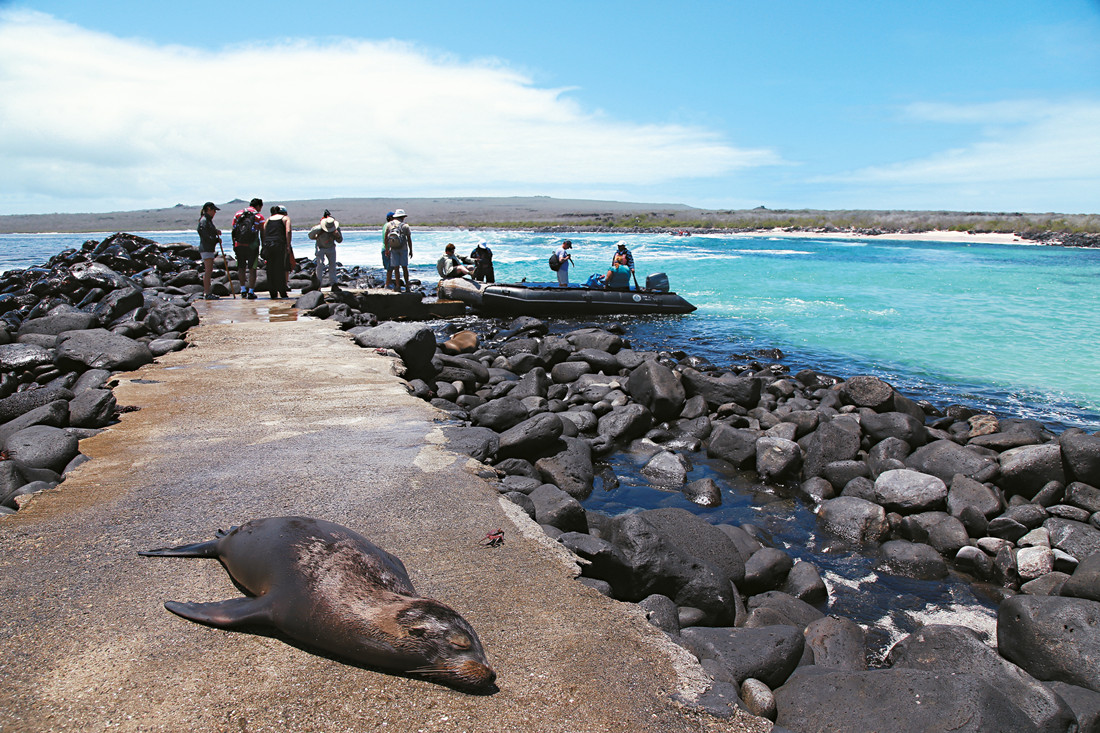 The enchanted wonders off Ecuador's Pacific coast Global Times