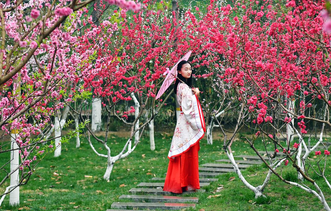 Spring flowers in full bloom in China’s Zhengzhou Global Times