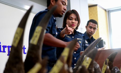 Malaysian customs officers pack seized Rhino horns following a press conference at the Customs Complex in Sepang on Monday. Malaysia seized 18 rhino horns, weighing 51.4 kilograms and worth $3.1 million, imported from Mozambique, a senior customs official said. Photo: AFP
