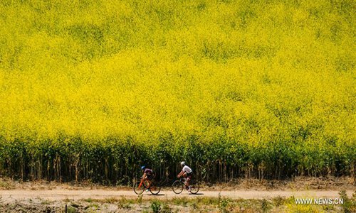 Mustard flowers bloom at Chino Hills State Park in Chino Hills, California, the United States, on April 15, 2017. Photo: Xinhua