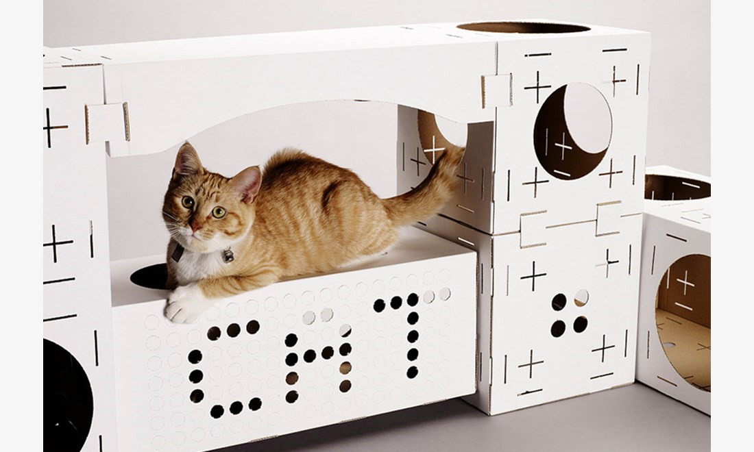 Heartwarming and creative inventions for pets Global Times