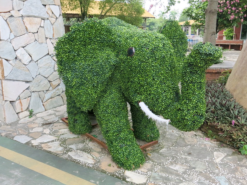 Photos Cute topiary plants in South China’s Dongguan Global Times