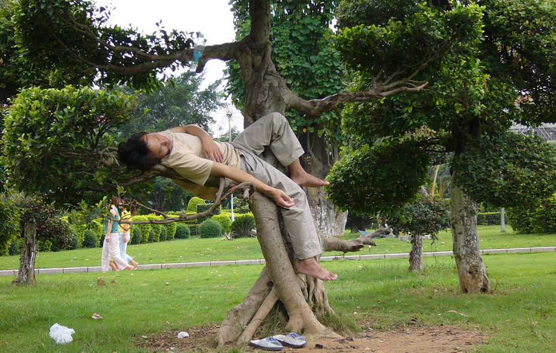 Photos show people napping in bizarre positions - Global Times
