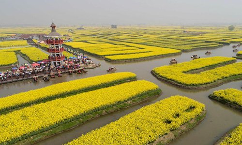 Scenery of cole flowers in Xinghua, E China's Jiangsu - Global Times