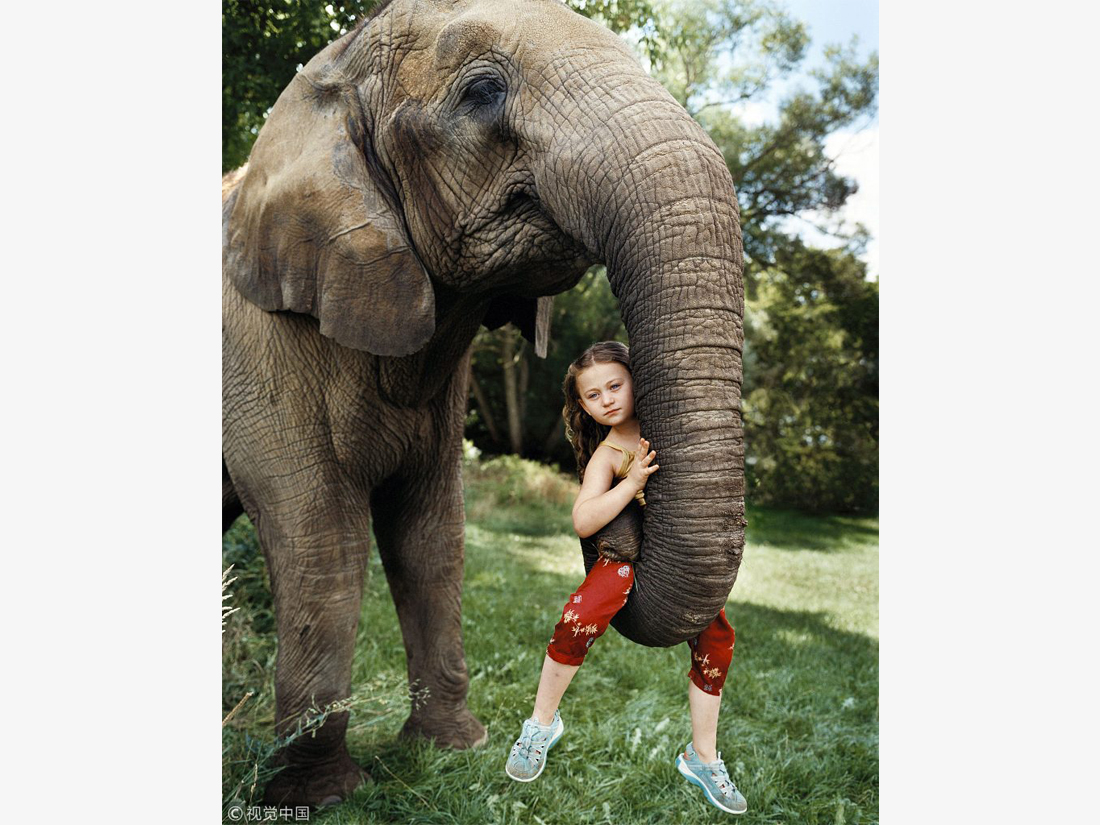 Growing up with animals - Global Times