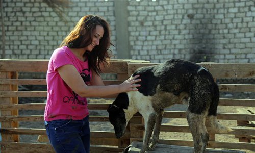 Co-founder and deputy chief of Cairo Animal Rescue Team (CART) Engy Tarek works at a dog shelter in Giza, Egypt, on July 5, 2018. With the Voice of the Voiceless as its slogan, Cairo Animal Rescue Team (CART), a vast dog shelter now home to about 800 dogs in Giza province near the Egyptian capital Cairo, sends its volunteers to reported cases of stray dogs in distress, like mangy dogs or those paralyzed, shot in the legs, hit by cars, beaten, burnt or strangled by people. (Xinhua/Ahmed Gomaa) 