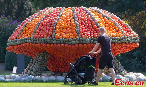 Visitors walk behind a sculpture displaying an UFO object during the autumn exhibition 'Flying' at the horticultural exhibition 'ega' (Erfurt Garden Construction Exhibition) in Erfurt, Germany, Wednesday, Sept. 5, 2018. Gardeners created different sculptures with thousands of pumpkins. The exhibition started on Sept. 2, 2018 and last until Oct. 31, 2018.(Photo/Agencies)