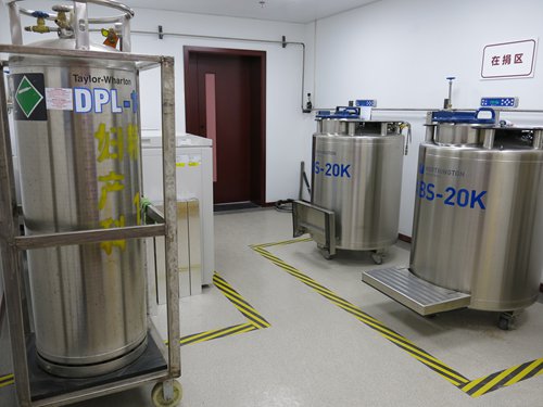 Sperm containers at the Human Sperm Bank of Fudan University Photo: Du Qiongfang/GT