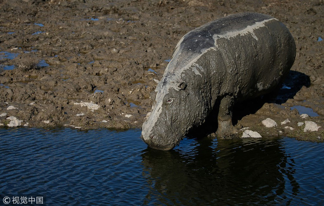 enjoy an increase in food at izmir natural life park in turkey