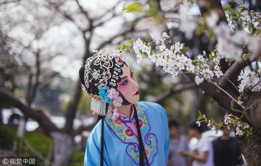 Chinese Spring Queen Enjoying springtime flowers across China - Global Times