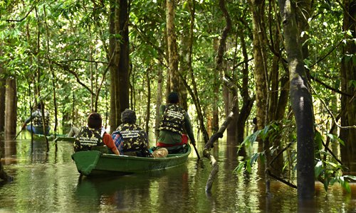 Tourists sail in the flooded Amazon rainforest at the Mamiraua Reserve, Brazil's largest protected area, in Amazonas State, on April 25. Photo: AFP