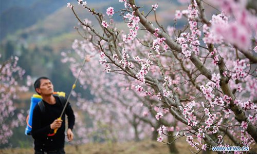 Local farmers make full use of land to develop agriculture in Guizhou ...
